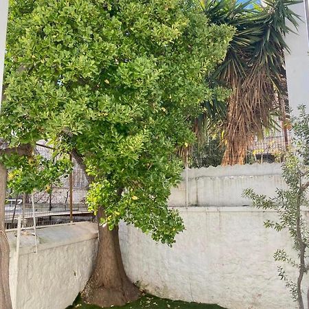Modern 3Br Maisonette With Garden 10 Min From Acropolis Athen Eksteriør billede